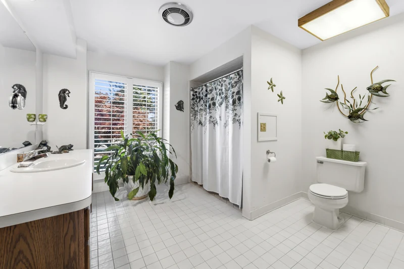 Main-floor bathroom and shower